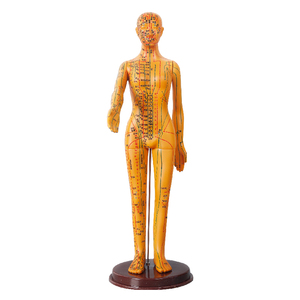 Massage Teaching Training Menschlicher Körper Meridian Außer gewöhnliche Punkte Akupunktur modell - Product Image 1