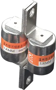 HRC ELEVATOR PARTS YinRONG--RGS4 Fuse