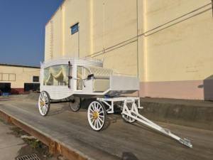 Cercueil funéraire de luxe sculpté, voiture funéraire/vente chaude, voiture funéraire électrique au prix d'usine - Product Image 5