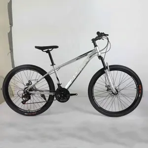 New model 26 inch 29er carbon fibre frame mtb mountainbike / 12 kg aro 29 mountain bicycle / mountain cycling