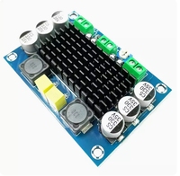 TZT XH-M542 TPA3116 D2 carte amplificateur de puissance numérique 100W Module amplificateur Audio Mono haute puissance