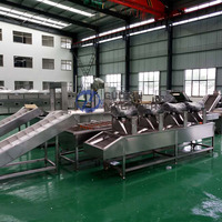 Volledig automatische productielijn voor gefrituurde aardappelchips, machine voor het maken van frieten, productielijn voor diepvriesfrieten, fabriek