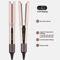 2026 Penjualan Terlaris 2-in-1 Airstyler Pelurus & Catokan Rambut Basah-ke-Kering dengan Layar LCD Ion Negatif