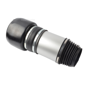 2113209413 2113209313 โช้คอัพหน้าสำหรับ E-Class W211 E320 E350 E500 CLS500 CLS550 - Product Image 3
