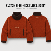 Veste pull courte en polaire sherpa à col montant et couleurs contrastées personnalisées pour homme, broderie, coupe ample, chaude, pour l'hiver, fabricant OEM