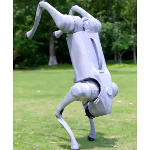Smart 4-Legged Robot Dog Bionic Quadruped Design
