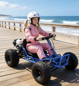 <span class=keywords><strong>Kart</strong></span> Fuoristrada a Catena Dilu DLK05 a 2 Tempi per Adulti, Uso su Tutti i Terreni, Motore 90cc/110/212cc, Capacità di Carico 200kg - Product Image 1