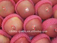 (Vente en gros Fuji) Pomme rouge Fuji authentique du Shandong, croustillante et sucrée, fruit frais à vendre