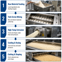 Nouvelle ligne de production de machine automatique pour la fabrication de miettes de pain, extrudeuse haute capacité pour usine alimentaire