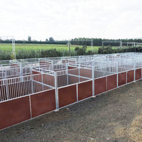 Box à chevaux préfabriquée, équipement d'écurie équine, box mobile pour chevaux