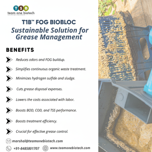 BioBloc FOG écologique pour restaurant et hôtel Équipement de service de nettoyage des eaux usées - Product Image 1