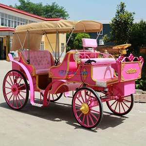 Transport spécial pour le tourisme et les visites touristiques, calèche - Product Image 1