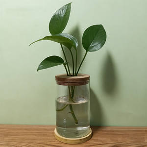 <span class=keywords><strong>Pot</strong></span> de plante hydroponique cylindrique pour décoration intérieure, terrarium <span class=keywords><strong>en</strong></span> verre fait main pour table avec couvercle et base <span class=keywords><strong>en</strong></span> <span class=keywords><strong>bambou</strong></span> - Product Image 3