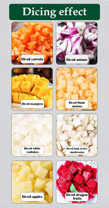 Elektrische 220V snijmachine voor fruit, groenten en voedsel, met motor en tandwiel, essentiële keukenhulpjes - Product Image 5