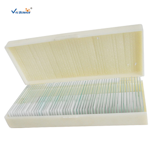 Portaobjetos de <span class=keywords><strong>Microscopio</strong></span> Preparados, Cortados Biomicroscópicamente, Penicillium, Pierna de Mariposa, Insecto, Piel de <span class=keywords><strong>Cebolla</strong></span>, Portaobjetos Preparados Mixtos - Product Image 2
