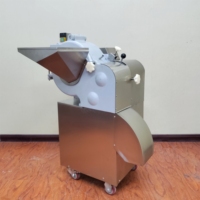 Fruit- en groentesnijmachine, -schaafmachine, -blokjesmachine, -hakmachine, universele snijder, snijmachine, snijder, hakselaar, motor, roestvrij staal 304