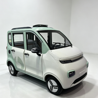 Voiture miniature fiable toutes saisons, équipée d'un moteur puissant 72V 5000W, certifiée CEE, contrôleur 72V 32 tubes
