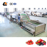 Commerciële olijfstengelverwijderaar, fruit sorteerder, cherry tomaten grader, spray bubbelwasser, automatische fruitwaslijn