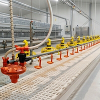 Nuevas Bebederos de Agua de Material PP para Granjas Avícolas, Equipo de Alimentación para Aves de Corral, Bebederos para Pollos de Engorde y Gallinas Ponedoras