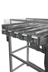 Anpassbare 5-spurige Hochgeschwindigkeits-Mehrlinien-Waage für die Spielzeug produktions linie - Product Image 4