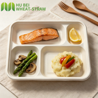 Plateau rectangulaire jetable en bagasse de canne à sucre à 4 compartiments, robuste, compatible micro-ondes, compostable, écologique, pour plats à emporter