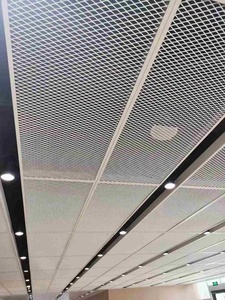 פאנלי תקרה דקורטיביים בהתאמה אישית [אלומיניום] מרשת מתכת מורחבת, צבועים באבקה, לעיצוב פנים של מסעדות, מוסכים, משרדים וכניסות. - Product Image 1