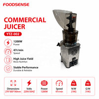 Koude Pers Sapcentrifuge voor Fruit en Groenten, RVS, met Afvalafscheiding, voor Horeca