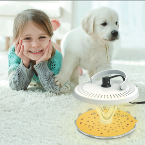 X-pest Trampas para pulgas AR15S Trampa de luz para pulgas de gatos Trampa para moscas de la fruta Polilla Gnats Gites Housefly Catcher - Product Image 4