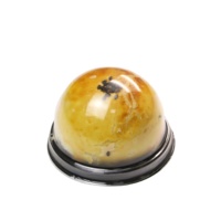 Boîte de rangement transparente de qualité alimentaire pour gâteaux, pâtisseries, gâteaux de lune, et mini-gâteaux, idéale pour les feuilletés au jaune d'œuf