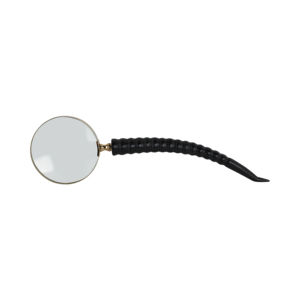Lente d'ingrandimento con manico in corno di bufalo per decorazioni casa e ufficio - Product Image 5