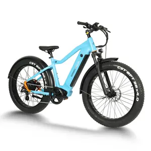 Elektrisches fettes Reifen rad 48v 750w 20 Zoll Heckmotor 500w 750w Mountainbike elektrisch