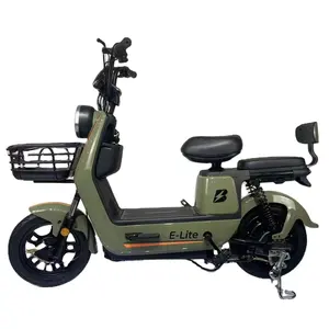 2023 hot design electric bike 48v 350w/500w/800w with fat tire keyless start LED light and big basket electric for adult