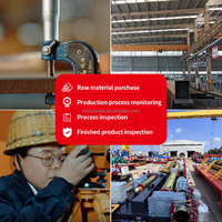 Almacén de taller personalizado 5 10 20 toneladas Elevador modular Puente de una sola viga Grúa aérea