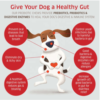 Friandises à mâcher probiotiques naturelles pour chiens : Soutien digestif, santé intestinale, supplément à mâcher souple, riches en protéines, vitamines et minéraux pour la santé.