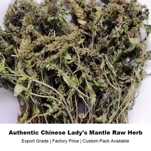 Hierba Seca de Alchemilla Japonica (Lady's Mantle, <span class=keywords><strong>Nakai</strong></span> Doupeng, Cao Yuyi) - Planta Popular entre las Mujeres - Product Image 1