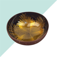 Bol en bois de coco naturel et économique pour smoothies, 11 cm, fabriqué en Thaïlande et au Vietnam, avec cuillères