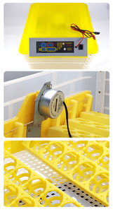 YZ-112 AC DC 220V 12V CE phê duyệt nhà máy tự động lồng ấp trứng 120 trứng - Product Image 6