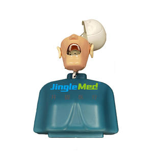 Testa fantasma modellata per l'insegnamento dentale dello studente di medicina in vendita - Product Image 3