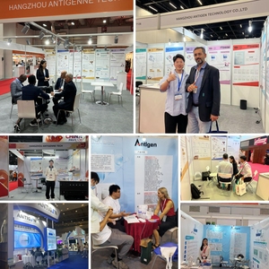 Sabervet Pet H. Pylori Antigen Kit de test rapide vétérinaire Helicobacter Pylori Antigen test Self test - Product Image 5