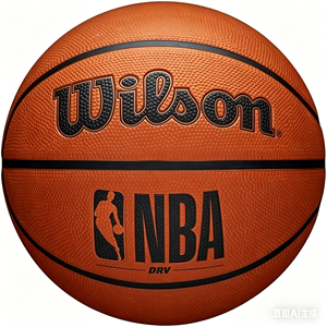 Ballon de basket-ball <span class=keywords><strong>Wilson</strong></span> Evolution pour hommes (29,5 po) - Taille et poids officiels - Product Image 2