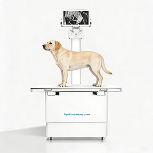 เครื่องเอกซเรย์สัตวแพทย์ระดับพรีเมียม ระบบภาพนิ่ง ได้รับการรับรองมาตรฐาน CE กำลังไฟ 32 กิโลวัตต์ สำหรับการวินิจฉัยในคลินิกสัตว์เลี้ยง (<span class=keywords><strong>แมว</strong></span>/สุนัข) - Product Image 1