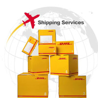 전문적인 DHL 도어 투 도어 운송 DDP 국제 드랍쉬핑 물류 서비스 화물 운송 대행사