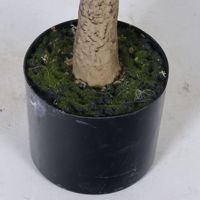 Künstlicher Kamelien-Bonsai-Baum Abnehmbare Plastik-Dekorationspflanze Landschaftsgestaltung Heimdekoration Kunstpflanzen Künstliche Pflanzen