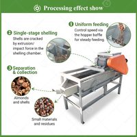Machine électrique à décortiquer les amandes, noisettes et pinèdes, la meilleure pour le cassage, le décorticage et le dépelliculage, pour moteur
