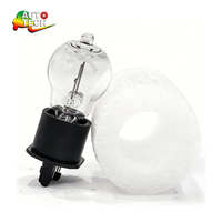 Ampoule halogène Hiper Bulb PW16W 12V 16W WP3.3x14.5-8 pour feux arrière de voiture, pièces automobiles, compatible avec la plupart des voitures, garantie 1 an