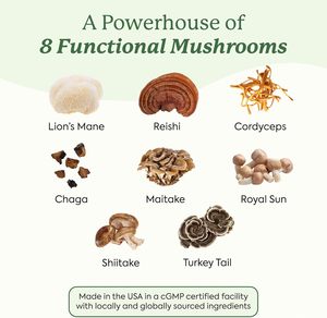 Gummies de champignon crinière de lion biologique, stimulant de la défense immunitaire et améliorant les capacités cognitives pour adultes - Product Image 2