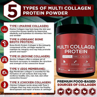 Collagène Multi-Peptides en Poudre Marque Blanche OEM/ODM Types I, II, III, V, X avec Biotine et Vitamine C
