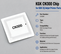 Puce KGK CN300 pour pièces d'imprimante à jet d'encre KGK Cij