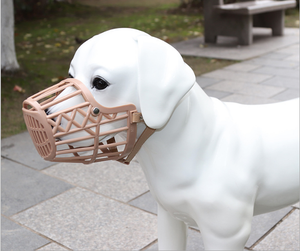 Kingtale Naturale Leather Dog Breaagatee Basket Bozales CINTAS Sólido <span class=keywords><strong>Pitbull</strong></span> Dog <span class=keywords><strong>Bozal</strong></span> Máscara <span class=keywords><strong>de</strong></span> metal Cadena <span class=keywords><strong>de</strong></span> <span class=keywords><strong>cuero</strong></span> ajustable <span class=keywords><strong>para</strong></span> mascotas - Product Image 4