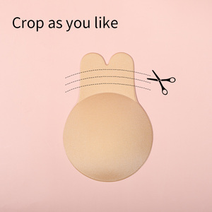 <span class=keywords><strong>Soutien</strong></span>-<span class=keywords><strong>gorge</strong></span> collant push-up adhésif sans couture pour femmes d'usine avec couvre-mamelon accessoires intimes pétales de poitrine - Product Image 2